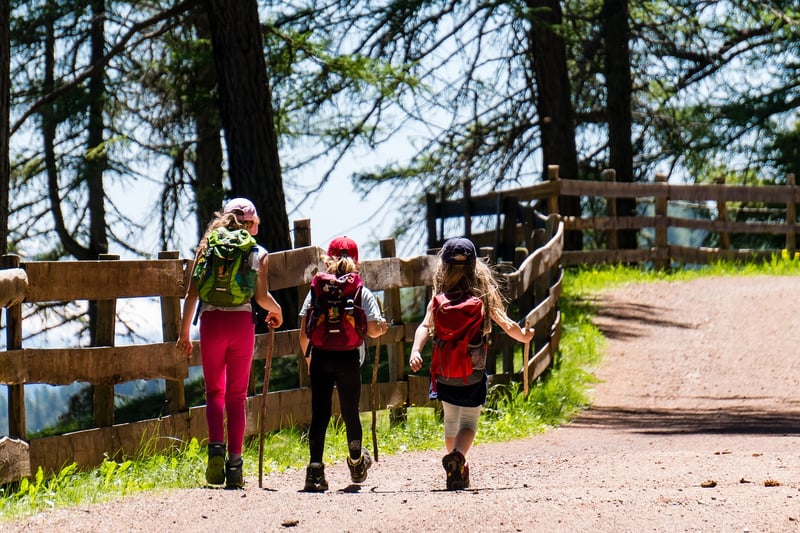 Hiking Poles